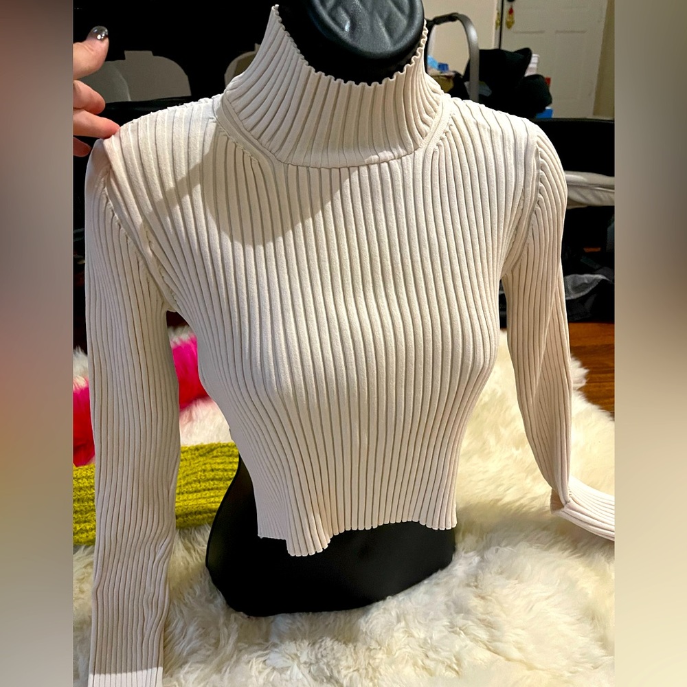 Turtle crop top